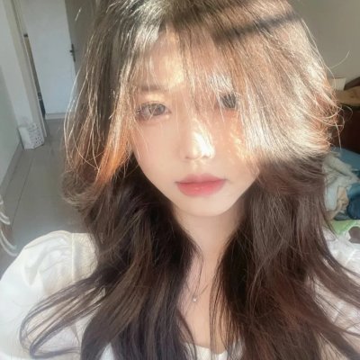 亚尔斯兰战记 风尘乱舞