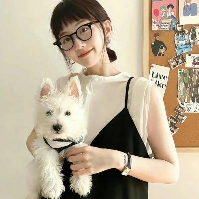 铁拳：血脉